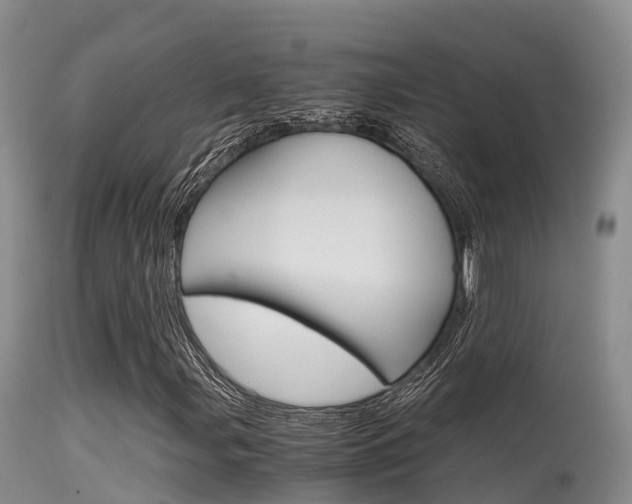 X0000115481107200911061018