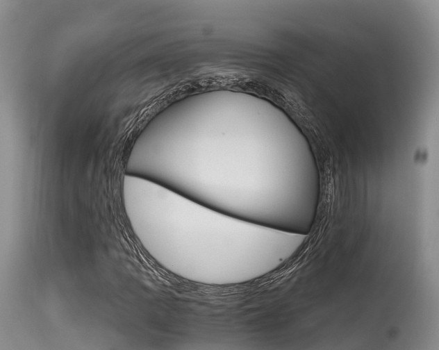 X0000115481109200911061018