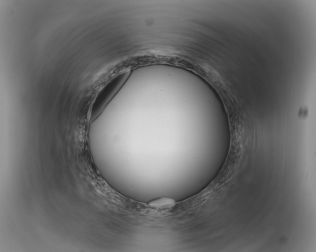 X0000115481110200911061018
