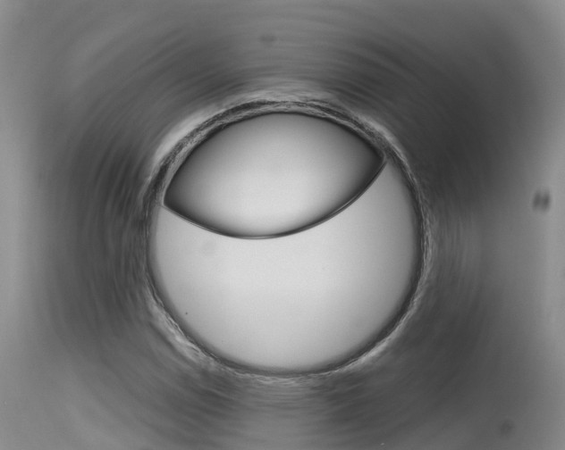 X0000115481114200911061019
