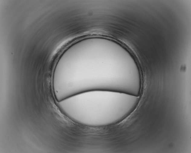 X0000115481115200911061019