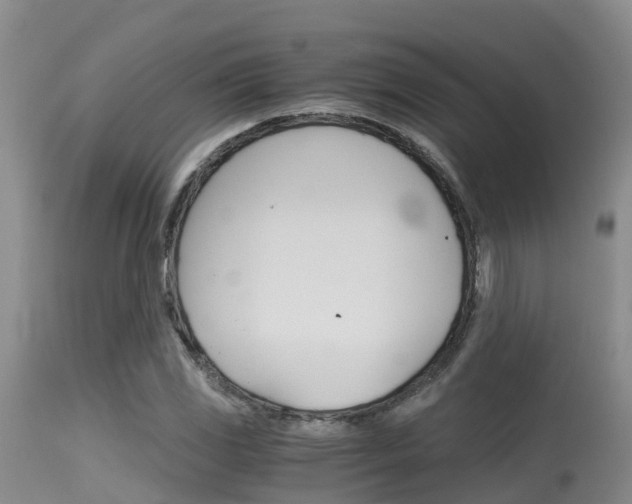 X0000115481117200911061019