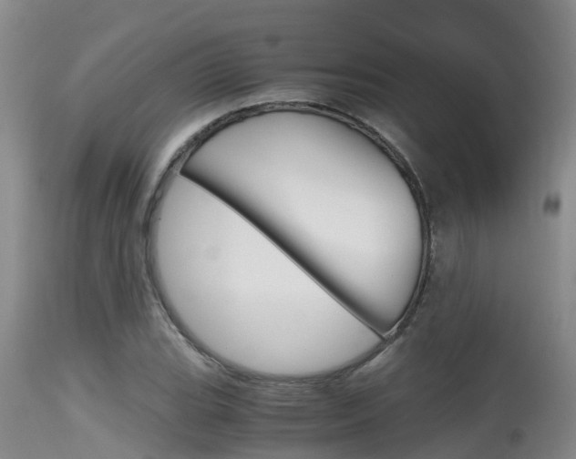 X0000115481119200911061019