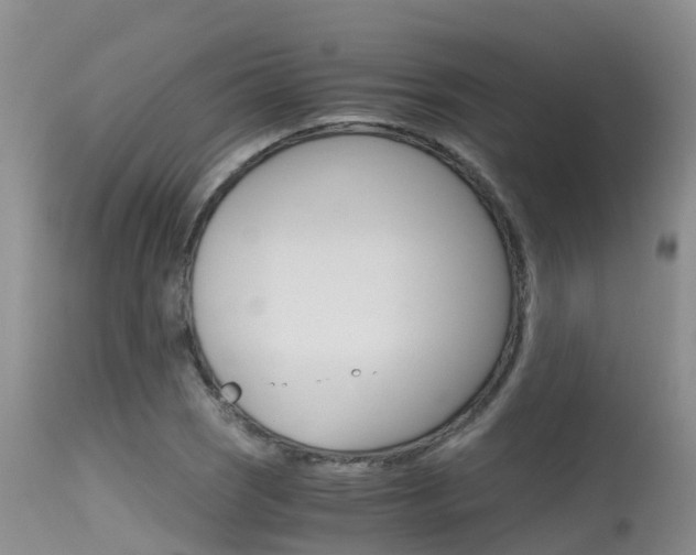 X0000115481121200911061019