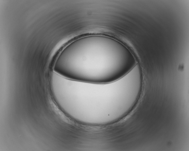 X0000115481122200911061019