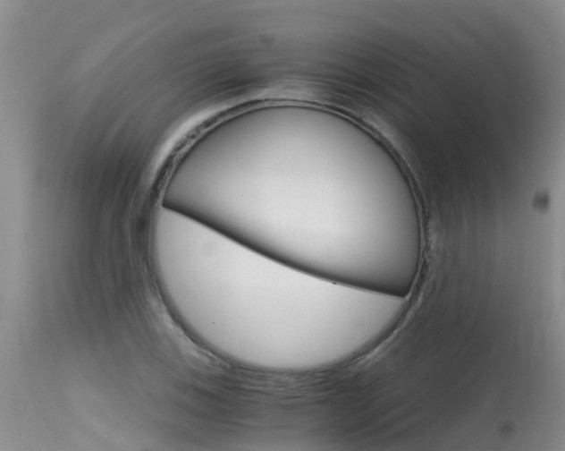 X0000115481123200911061019