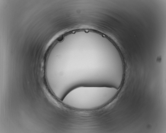 X0000115481126200911061019