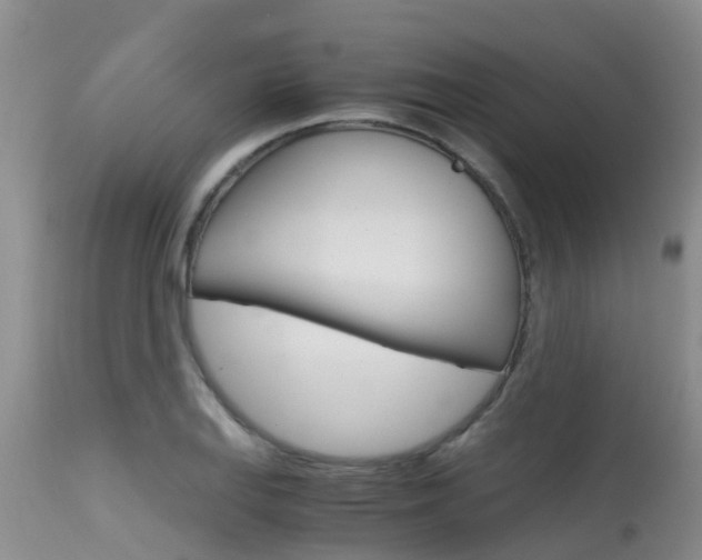 X0000115481127200911061019