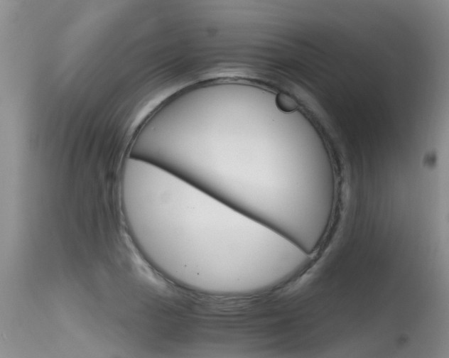 X0000115481129200911061019