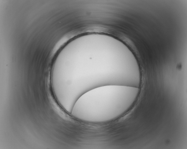 X0000115481130200911061019