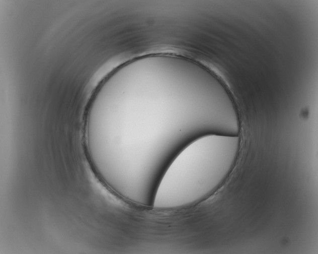 X0000115481135200911061019
