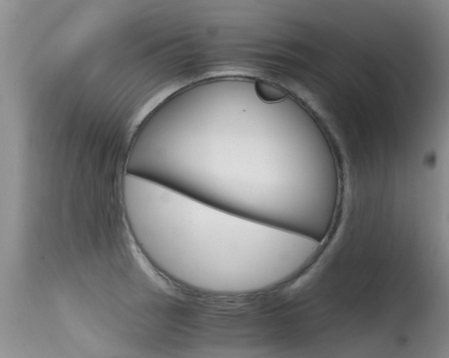 X0000115481137200911061019