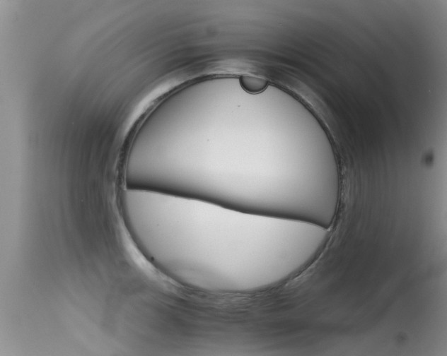 X0000115481139200911061019