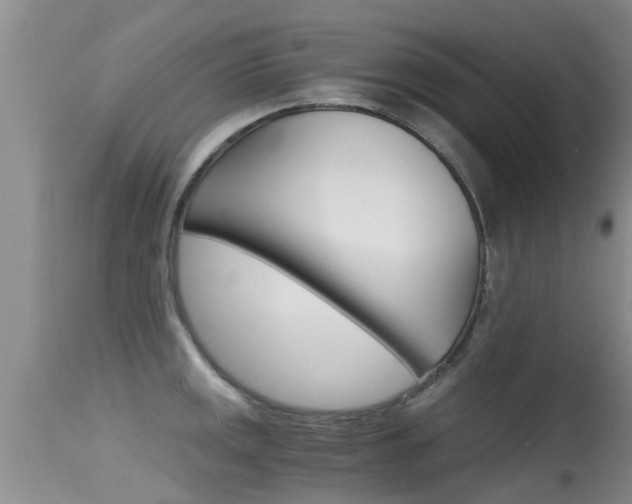X0000115481141200911061019