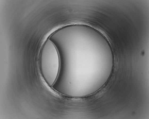 X0000115481142200911061019