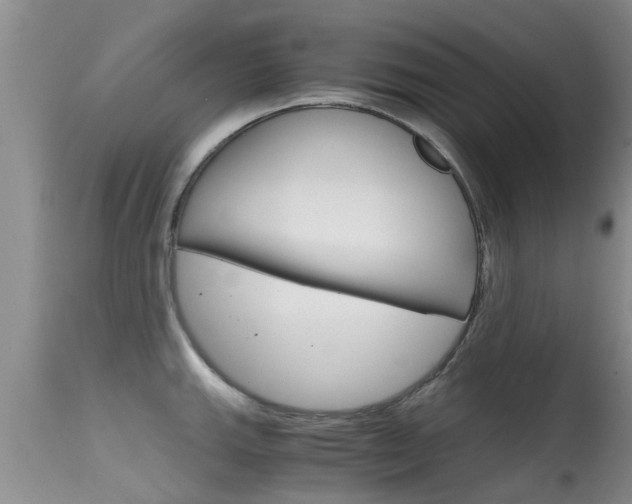 X0000115481143200911061019