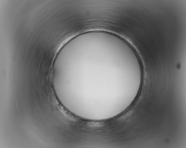 X0000115481145200911061019