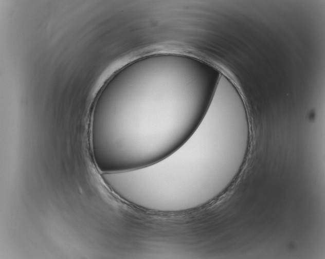 X0000115481146200911061019