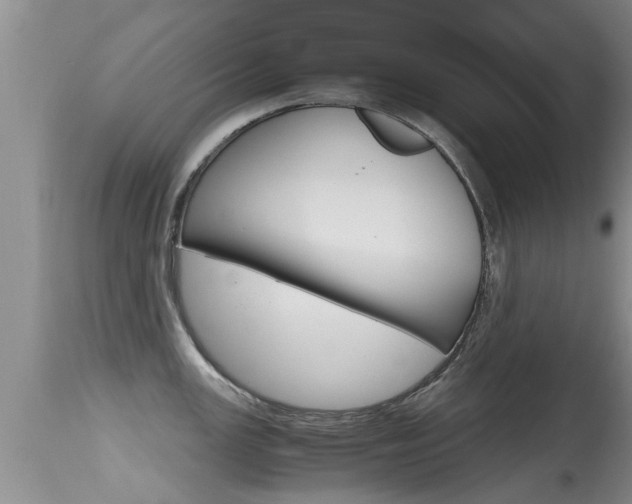 X0000115481147200911061019