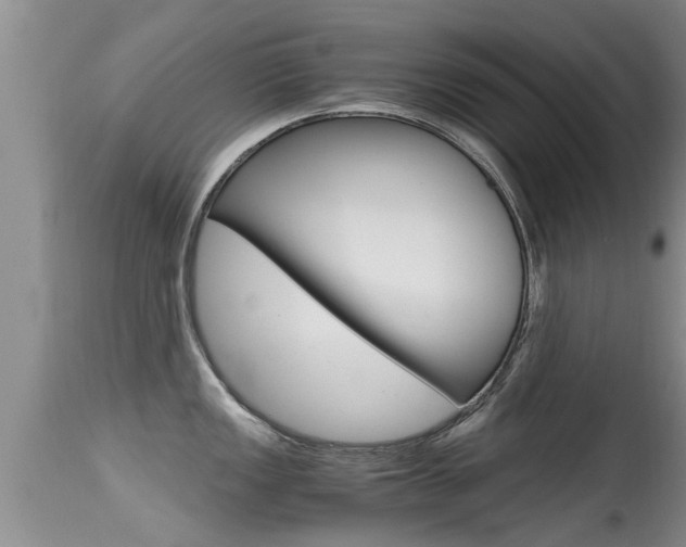 X0000115481149200911061019