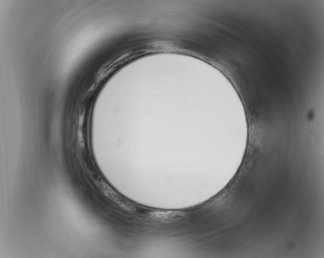 X0000115481150200911061019