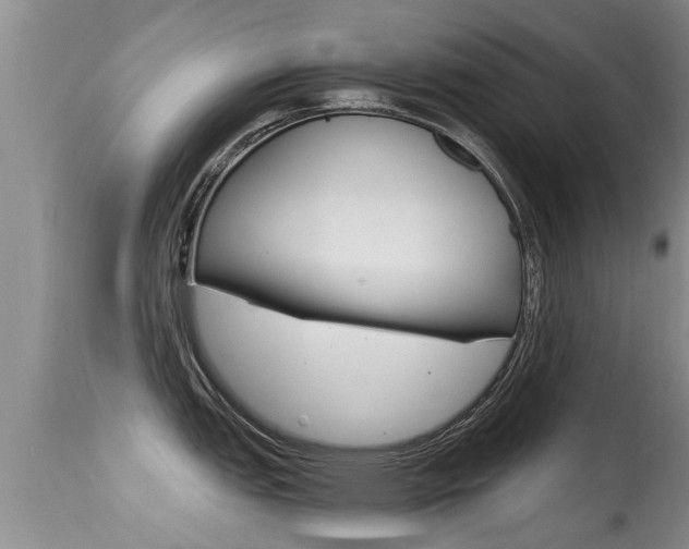 X0000115481151200911061019