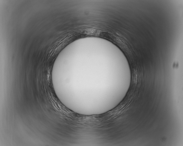 X0000115481154200911061018
