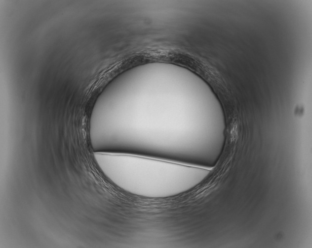 X0000115481156200911061018