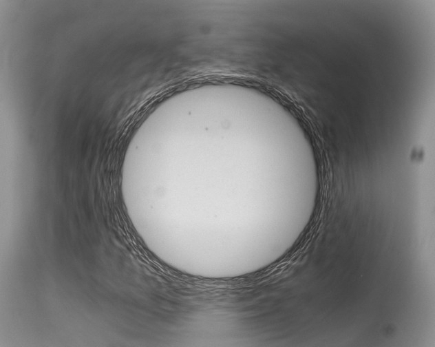 X0000115481157200911061018