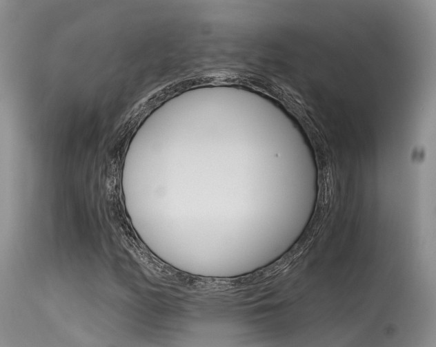 X0000115481158200911061018