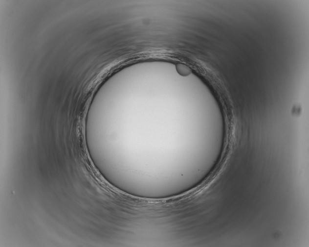 X0000115481161200911061018