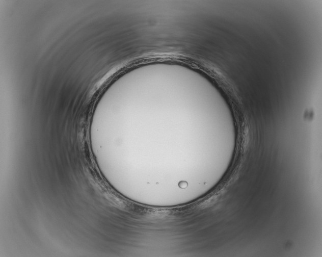 X0000115481162200911061018