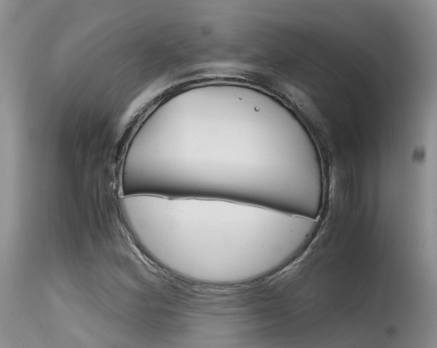 X0000115481164200911061018