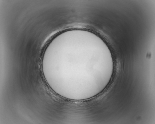 X0000115481166200911061018