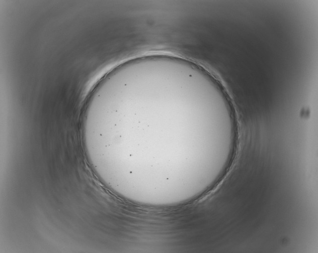 X0000115481167200911061018