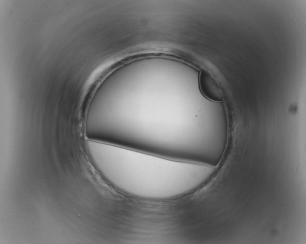 X0000115481172200911061018