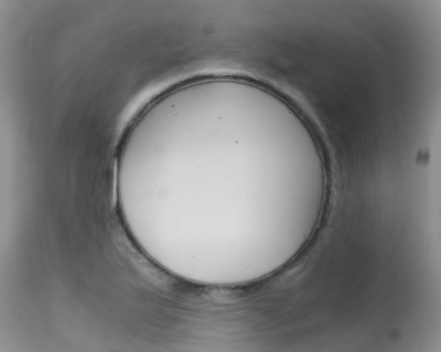 X0000115481175200911061018