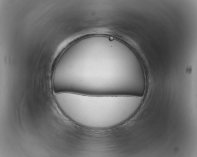 X0000115481176200911061018