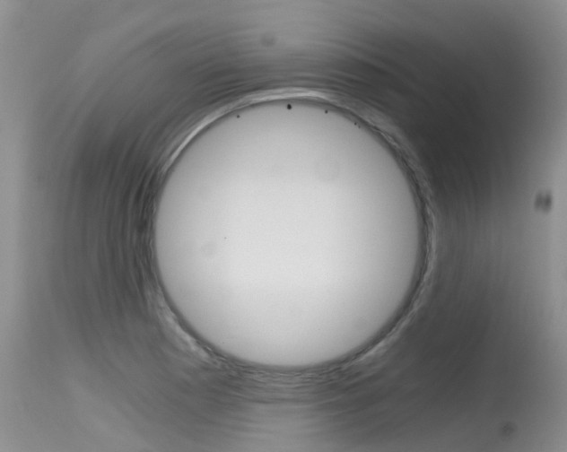 X0000115481177200911061018
