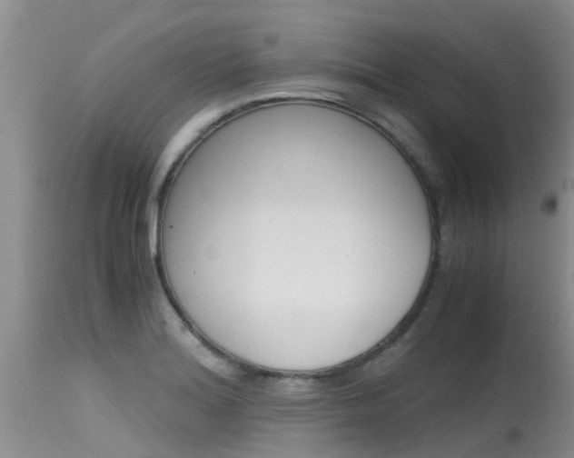 X0000115481180200911061018