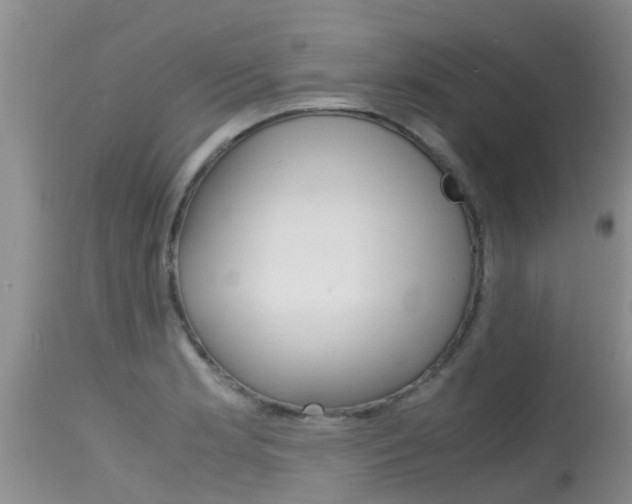 X0000115481181200911061018