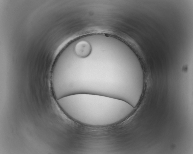 X0000115481182200911061018