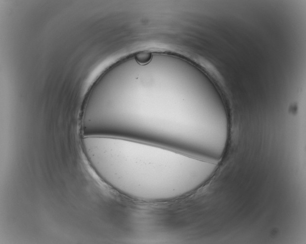 X0000115481183200911061018