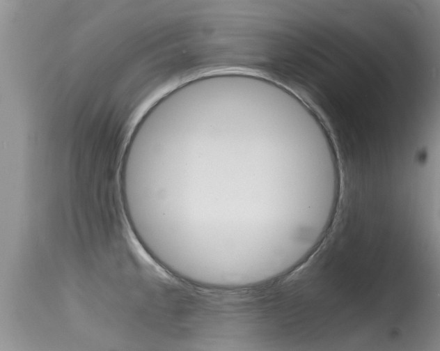 X0000115481189200911061018