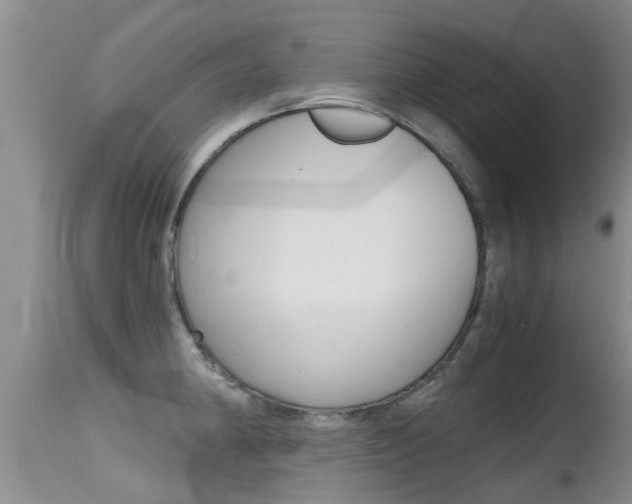 X0000115481190200911061018