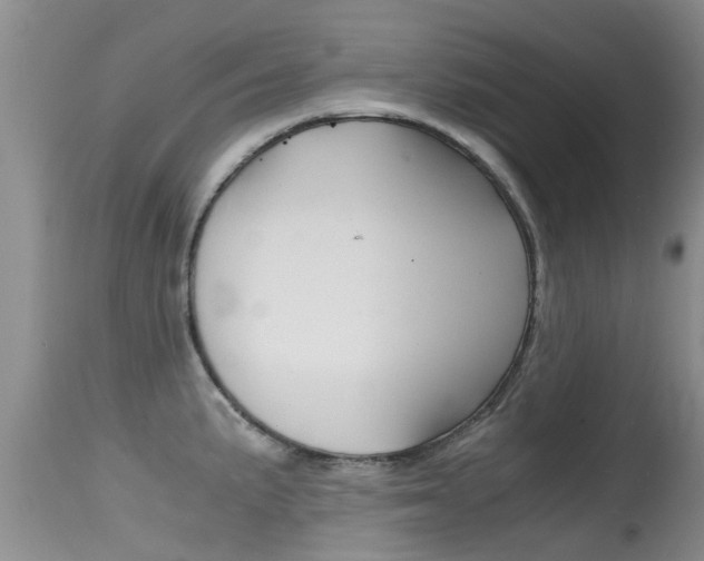X0000115481191200911061018