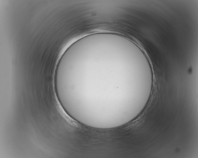 X0000115481195200911061018