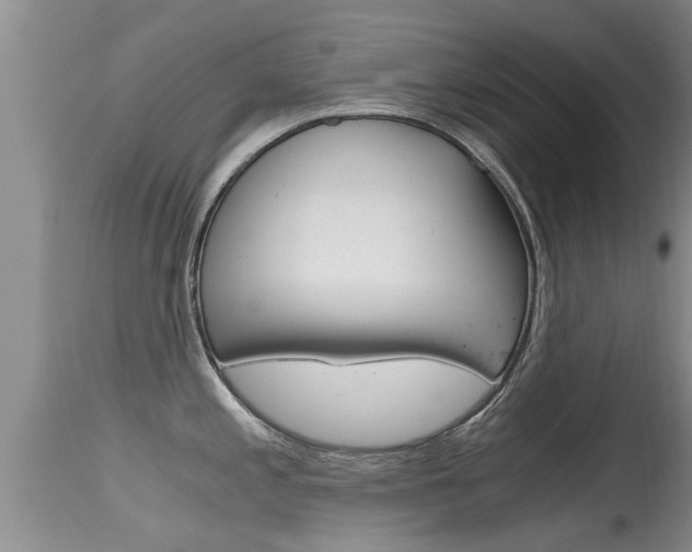 X0000115481197200911061018