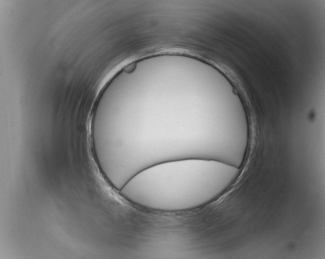 X0000115481198200911061018