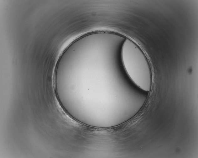X0000115481199200911061018